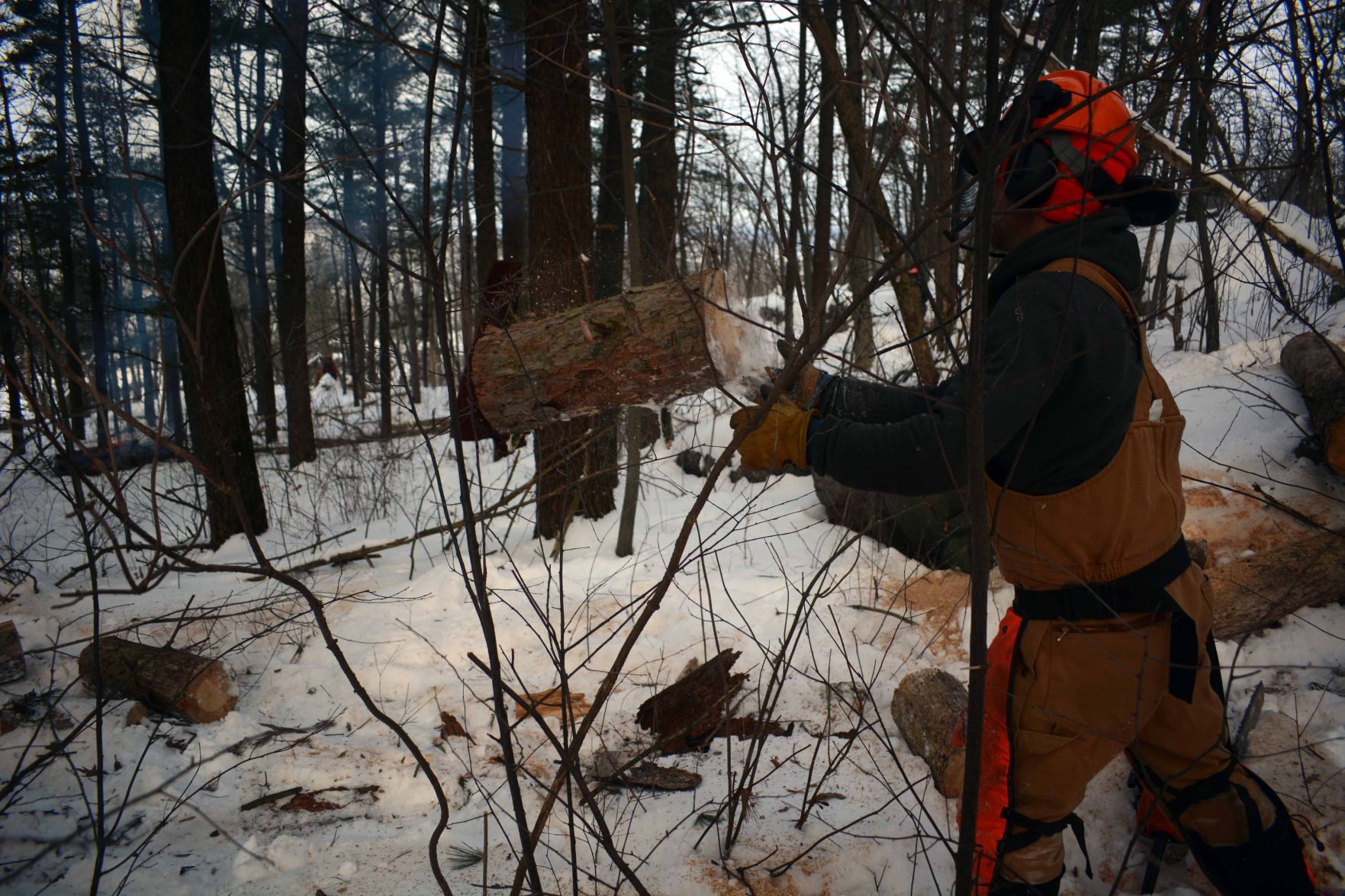 Devil's Lake east bluff stewardship work